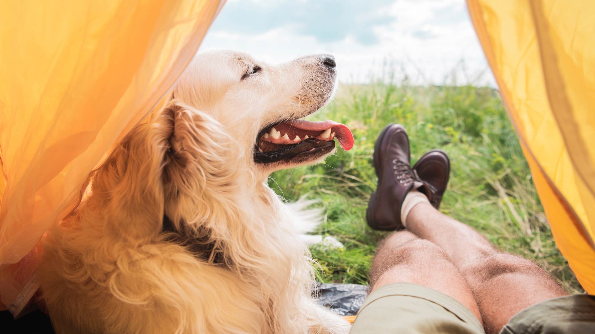 download - 2025-11-29T115608.346